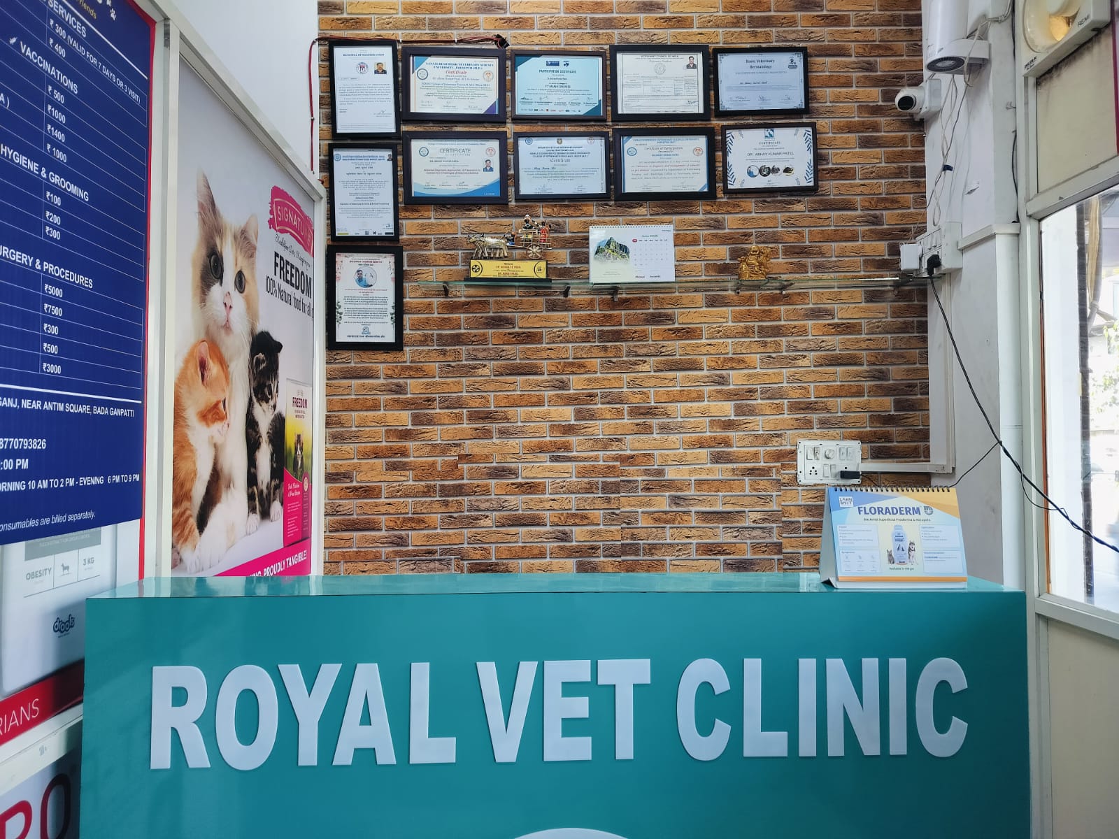 Cozy veterinary clinic reception lobby