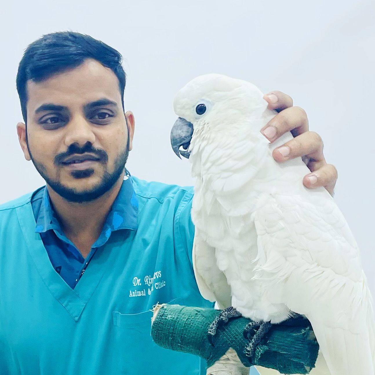 Birds & Exotic patient 1