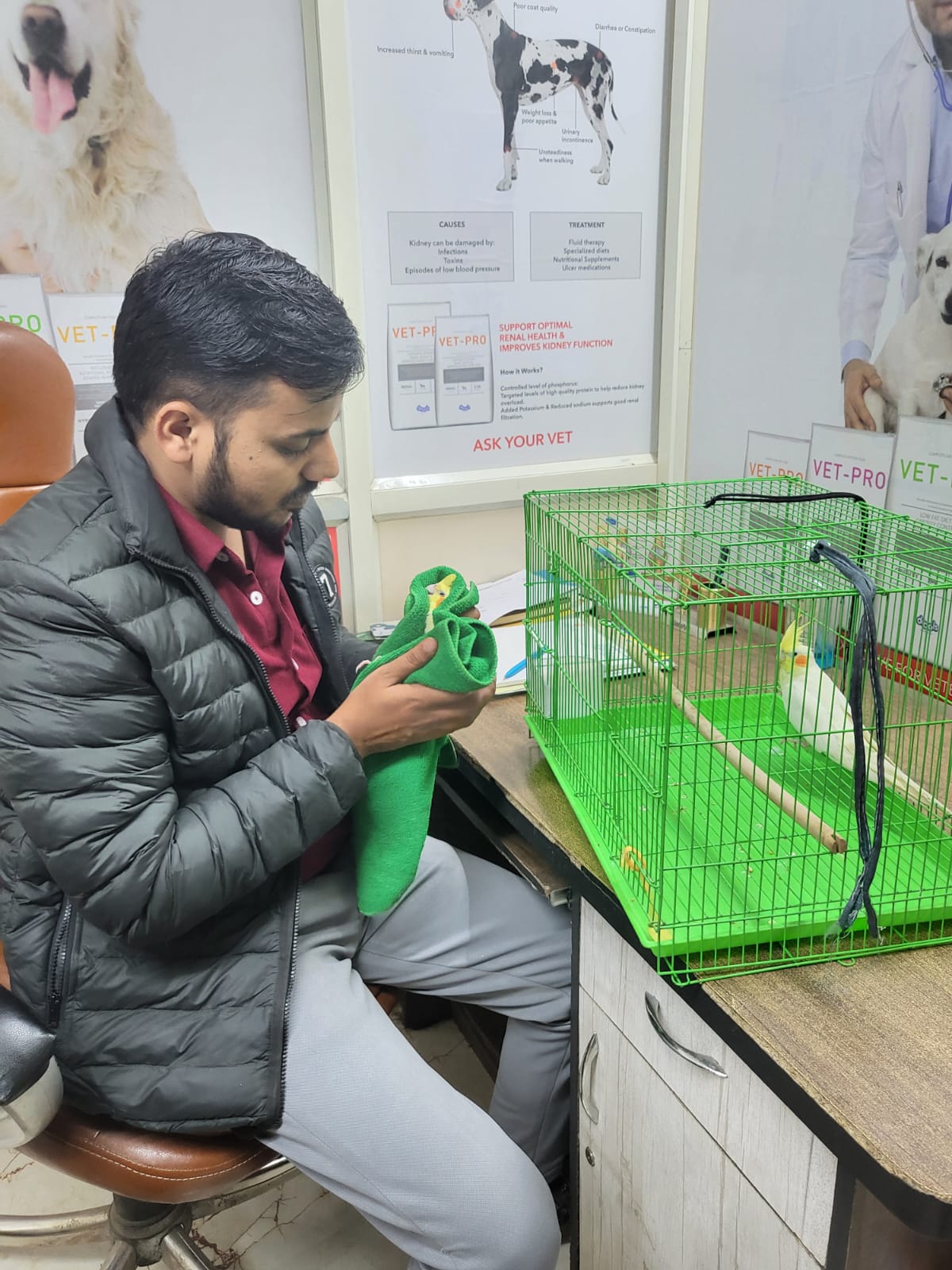 Birds & Exotic patient 2