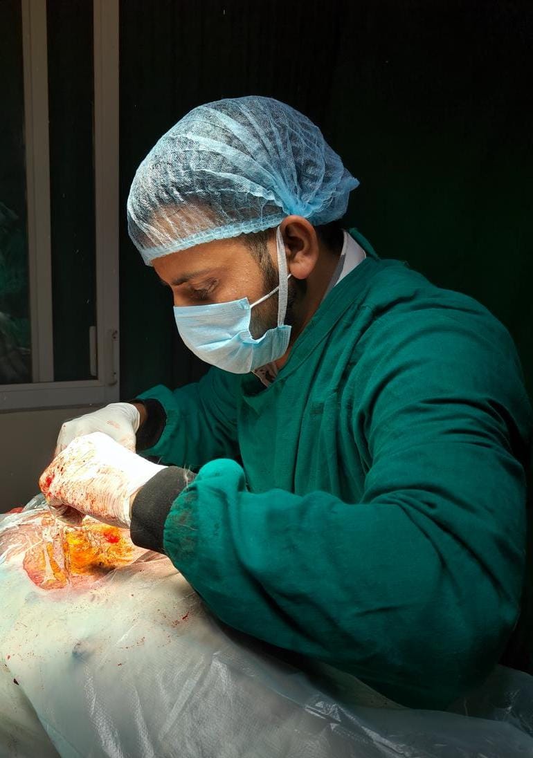 Surgeries & Sterilisation