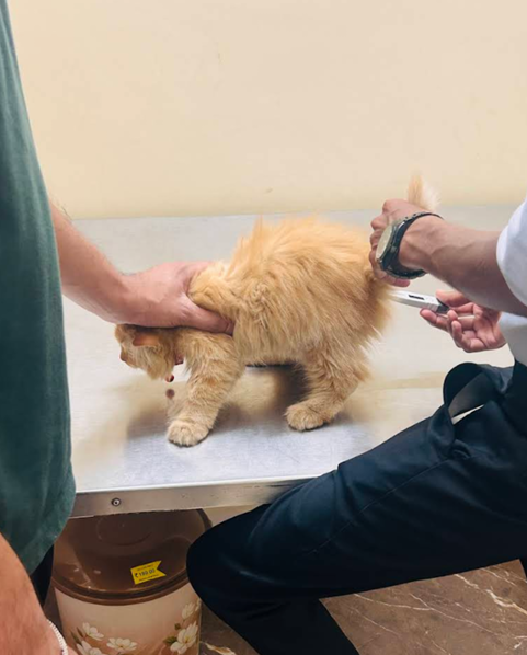 Vaccination & Treatment